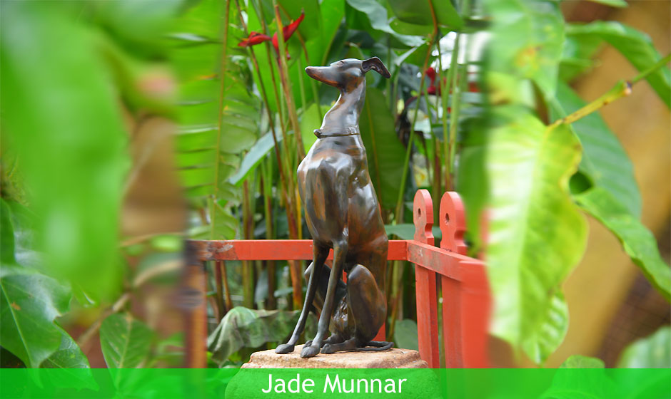 Jade Munnar Bed & Breakfast, India, Jade Munnar bathrooms and private sit out areas