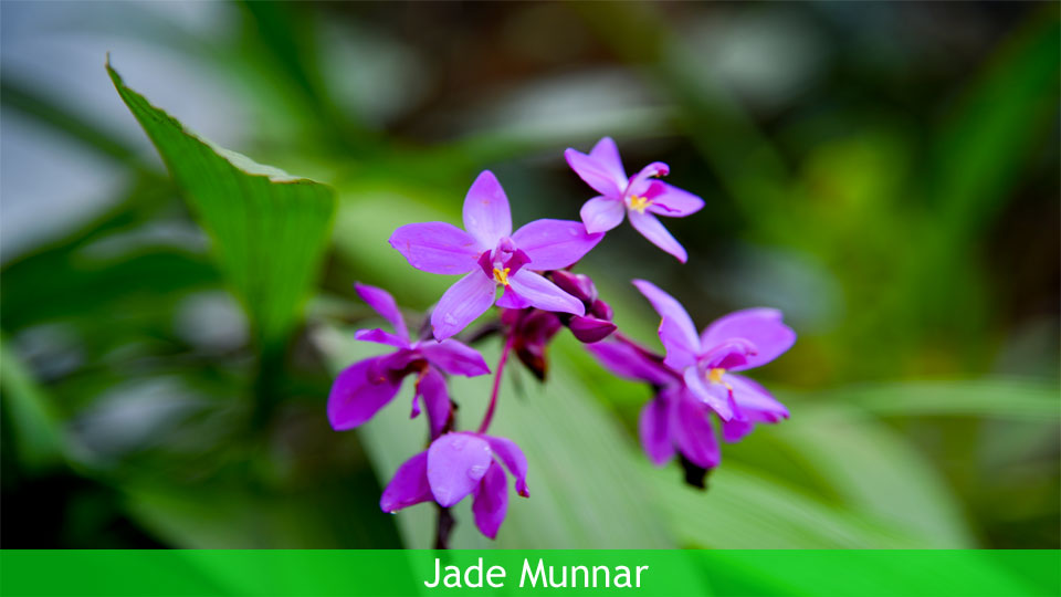 Jade Munnar Bed & Breakfast, India, Jade Munnar bathrooms and private sit out areas